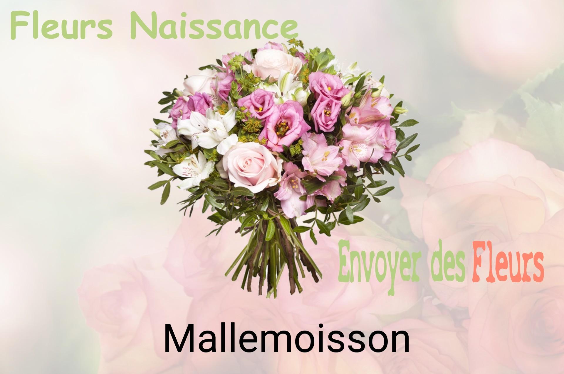 Bouquet de fleurs de naissance livré à Mallemoisson